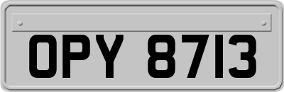 OPY8713