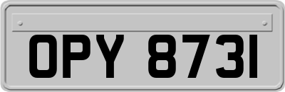 OPY8731