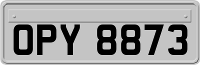 OPY8873