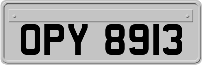OPY8913