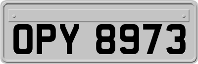 OPY8973