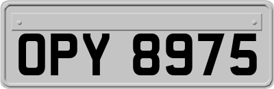 OPY8975