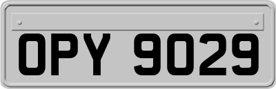 OPY9029