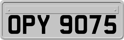 OPY9075