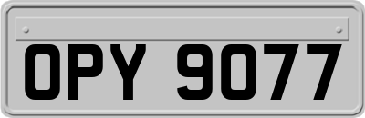 OPY9077