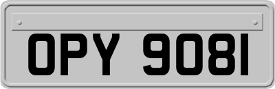 OPY9081