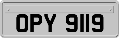 OPY9119