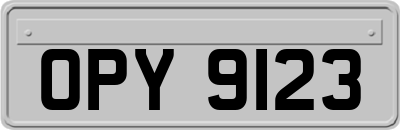 OPY9123