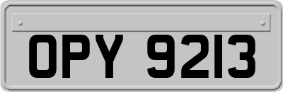 OPY9213