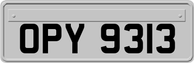 OPY9313