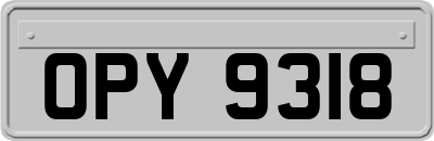 OPY9318