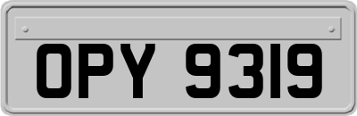 OPY9319
