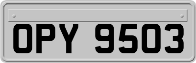 OPY9503