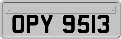 OPY9513