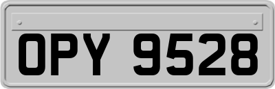 OPY9528