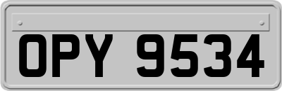 OPY9534