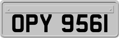 OPY9561