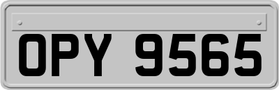 OPY9565