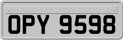 OPY9598