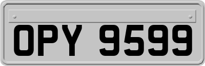 OPY9599