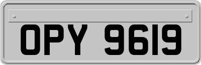 OPY9619