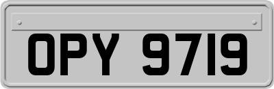 OPY9719