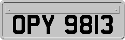 OPY9813