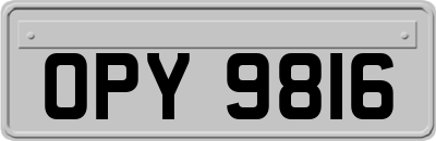 OPY9816