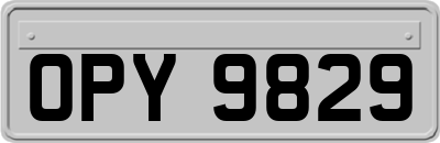OPY9829