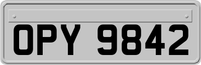 OPY9842