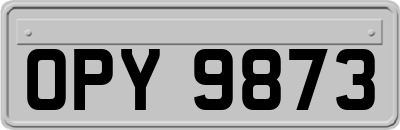 OPY9873