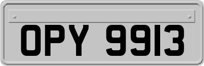 OPY9913