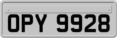 OPY9928