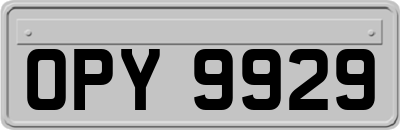 OPY9929