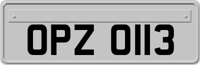 OPZ0113