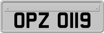 OPZ0119