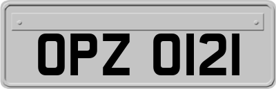 OPZ0121