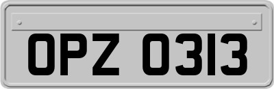 OPZ0313