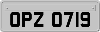 OPZ0719