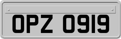 OPZ0919