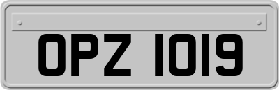OPZ1019