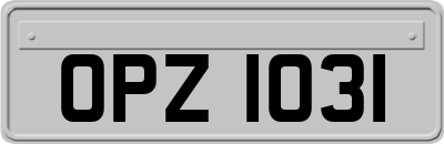 OPZ1031