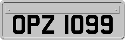 OPZ1099