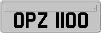 OPZ1100