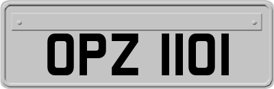 OPZ1101