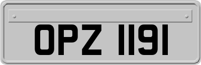 OPZ1191