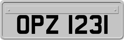 OPZ1231