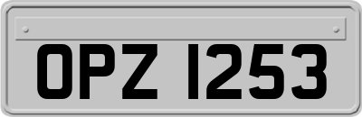 OPZ1253