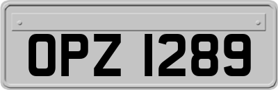 OPZ1289