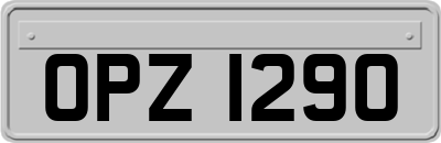 OPZ1290